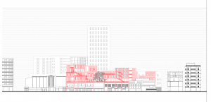 Pauline DE NARDI - DE NARDI PAULINE